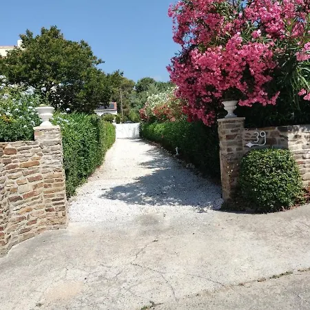 Elephantine * Bormes-les-Mimosas